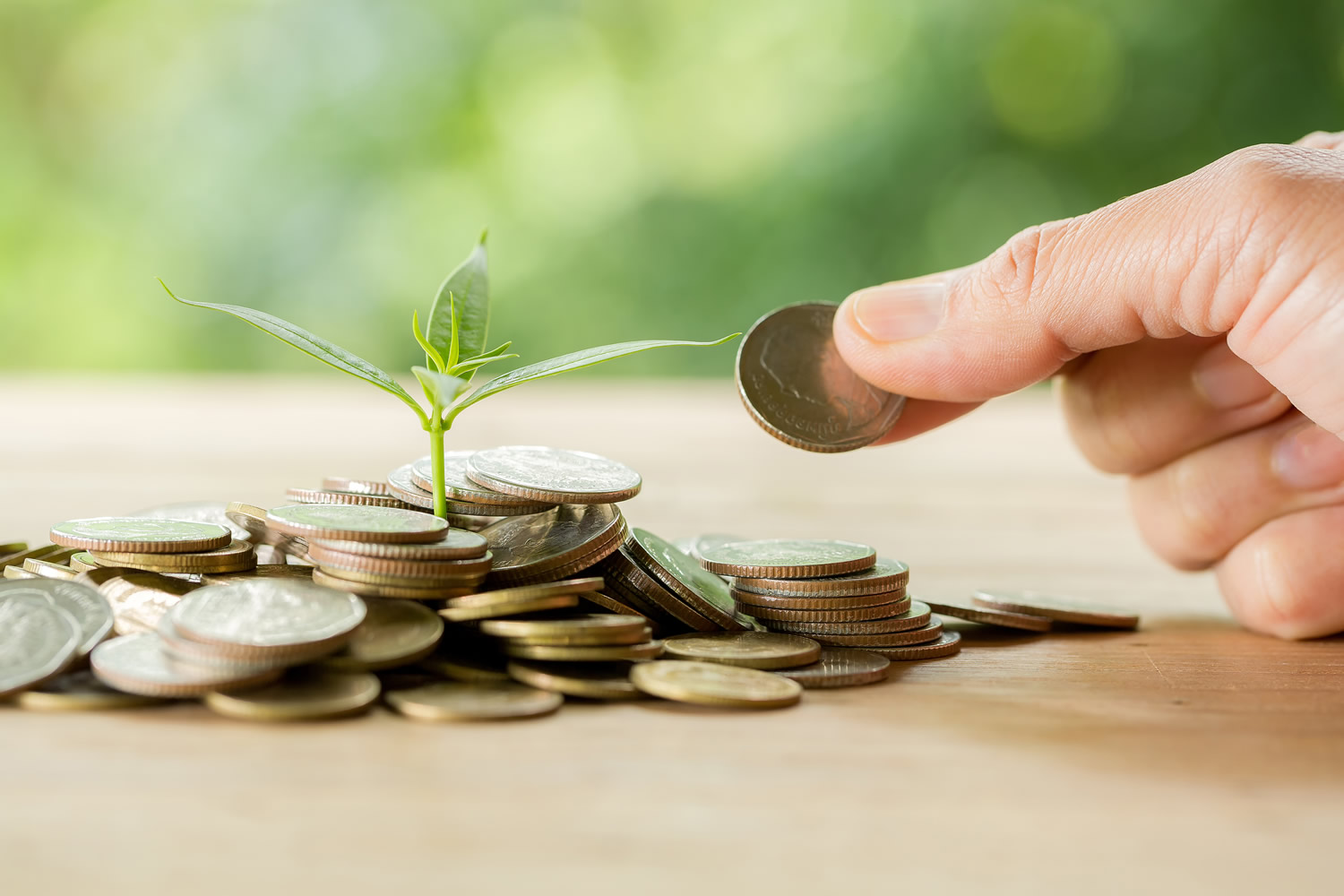 Planting trees on a coin pile with sunlight